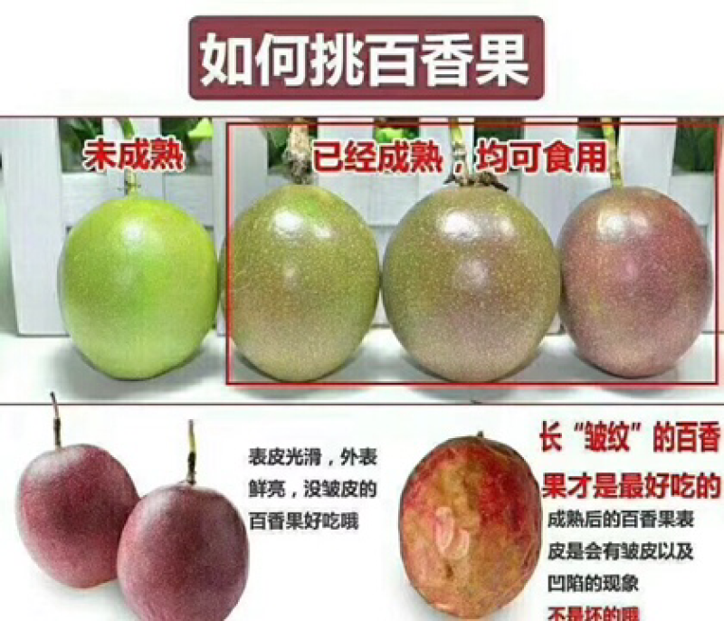 广东罗定百香果，酸甜可口