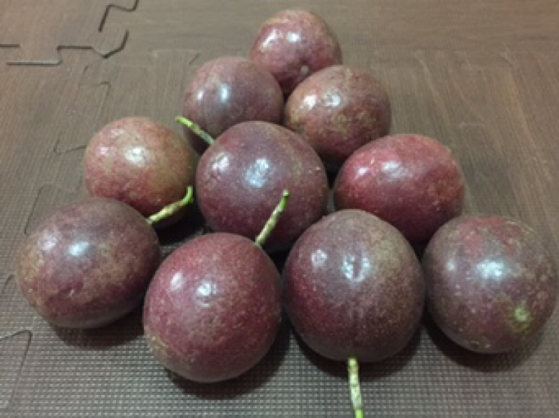 广东罗定百香果，酸甜可口