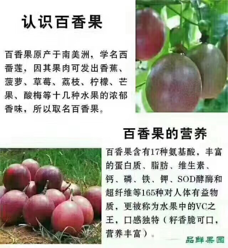 广东罗定百香果，酸甜可口