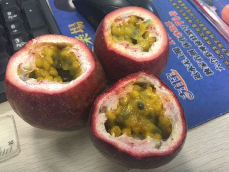广东罗定百香果，酸甜可口