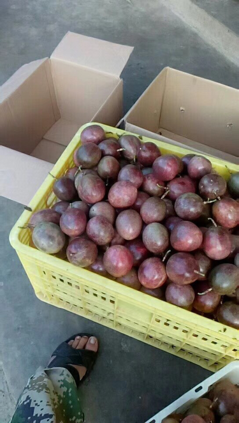 广东罗定百香果，酸甜可口