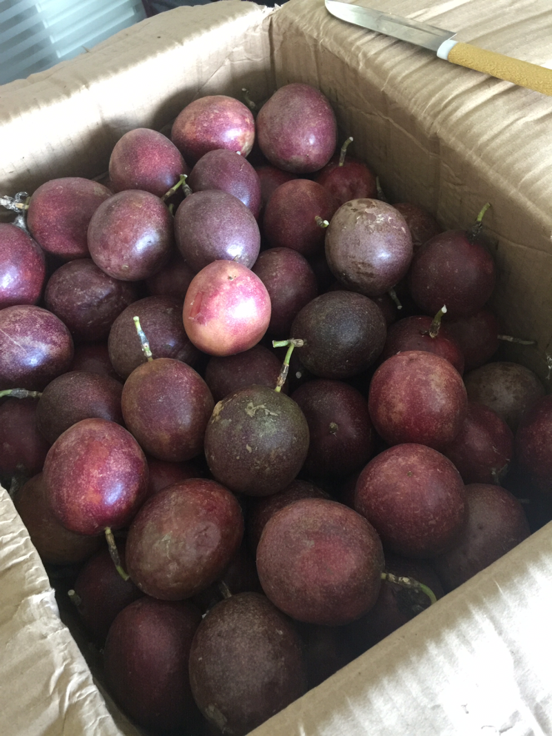 广东罗定百香果，酸甜可口