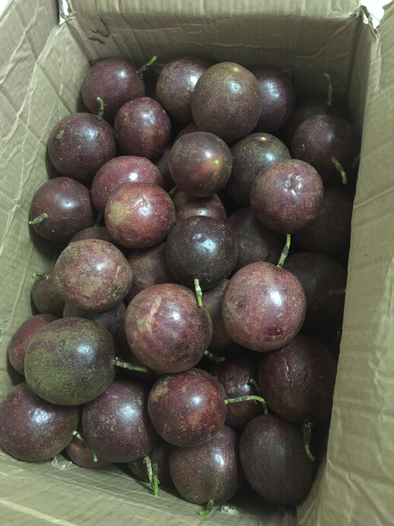 广东罗定百香果，酸甜可口