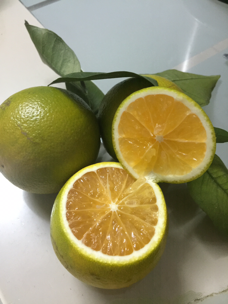 廉江红橙广东10斤包邮