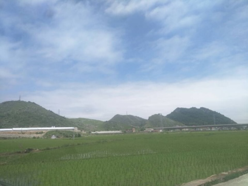 羊昌乡云头村优质大米