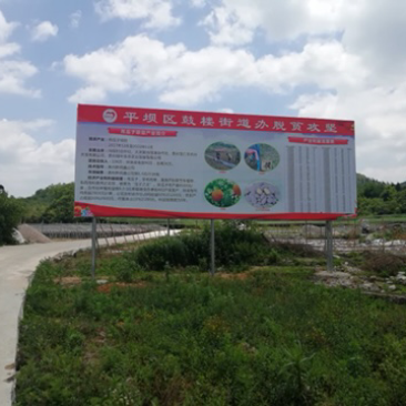 平坝区鼓楼街道吊瓜子