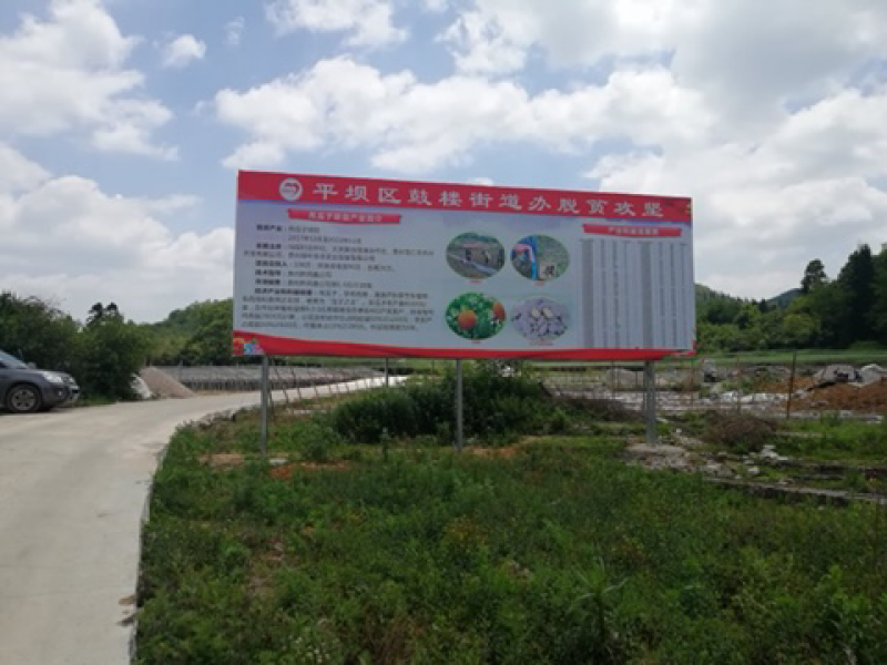 平坝区鼓楼街道吊瓜子