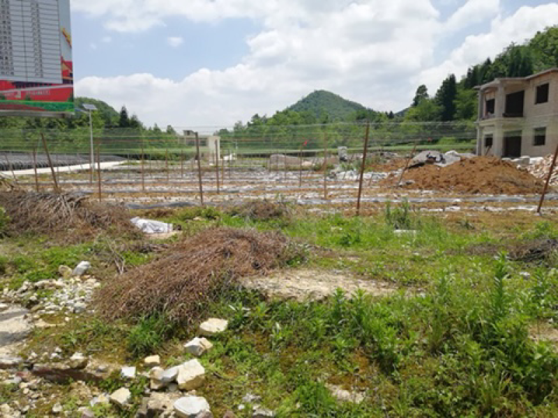 平坝区鼓楼街道吊瓜子