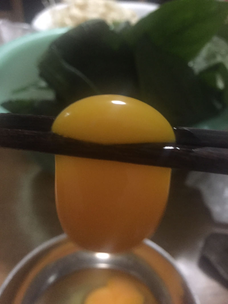 乌鸡土鸡芦花鸡
