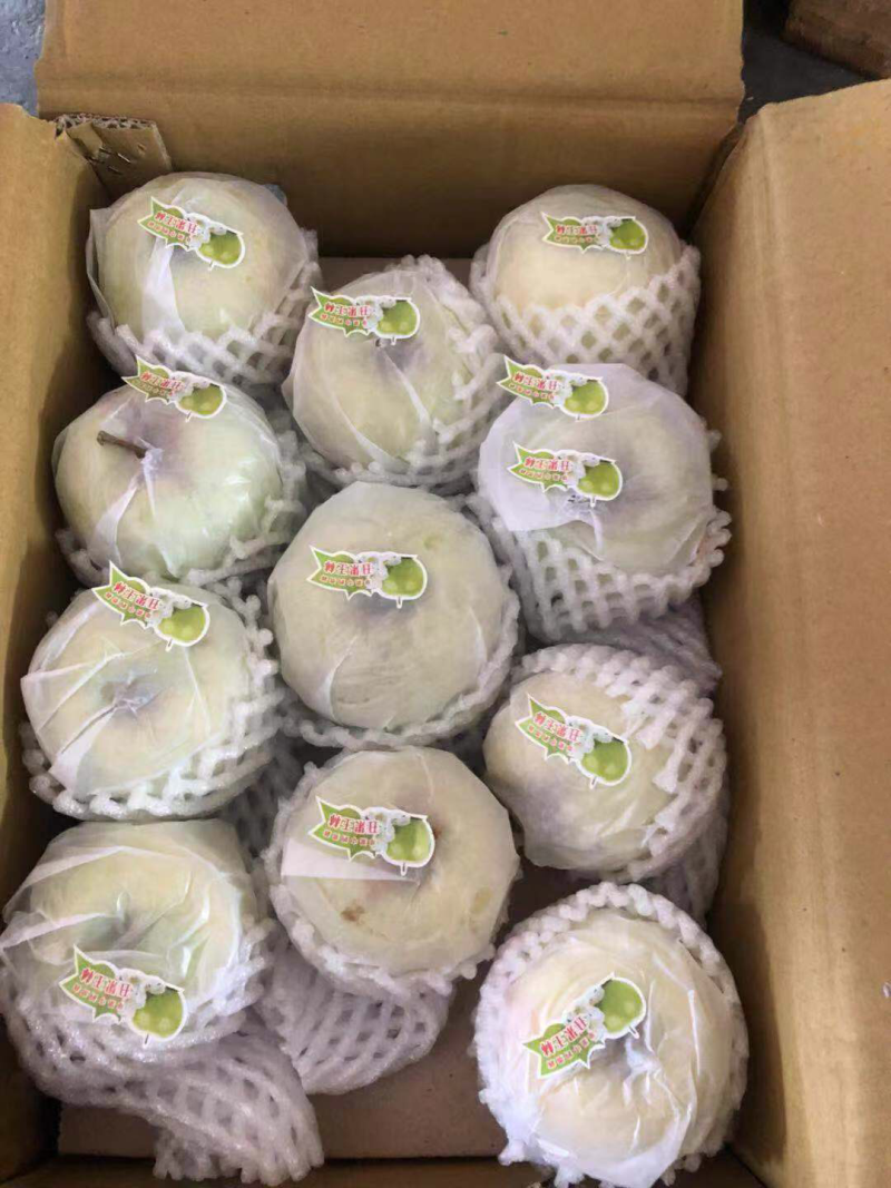 泰国椰青九个装