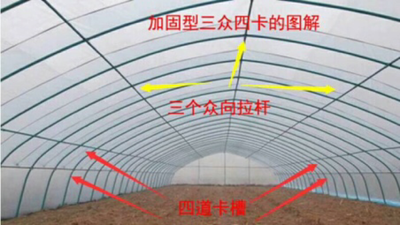 蔬菜大棚、养殖大棚，全国免费送货上门，大棚骨架