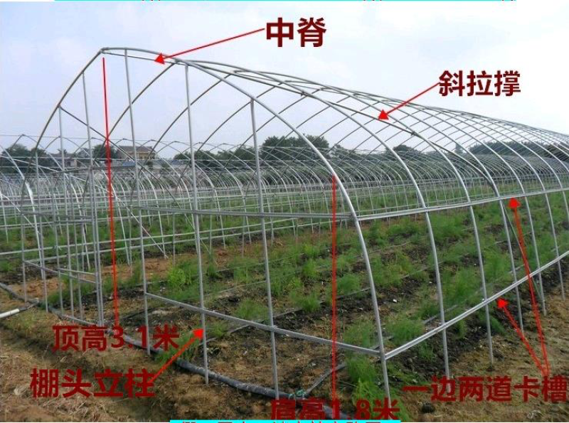 蔬菜大棚、养殖大棚，全国免费送货上门，大棚骨架