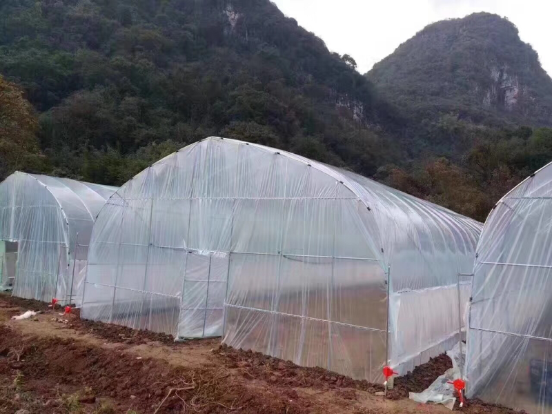 蔬菜大棚、养殖大棚，全国免费送货上门，大棚骨架