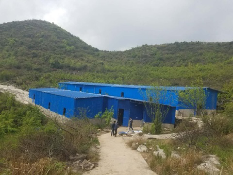 平坝区白云镇车头村香猪