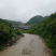 平坝区白云镇高寨村香菇