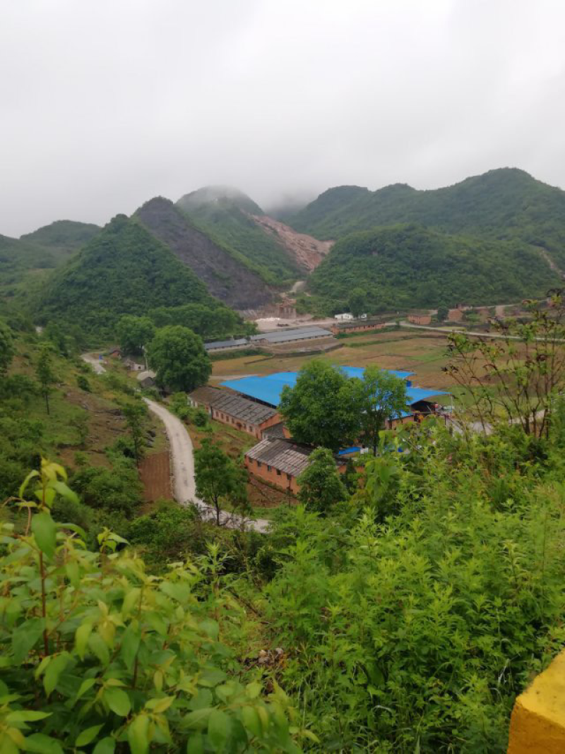 平坝区白云镇高寨村香菇