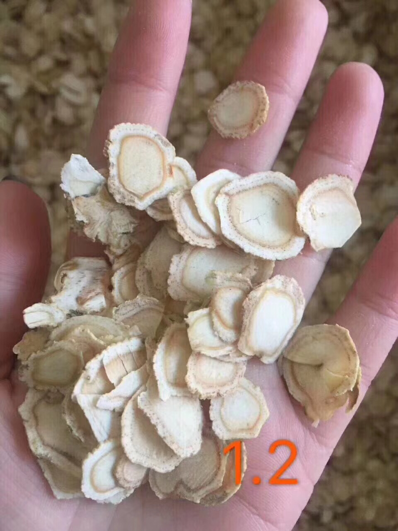 长白山软质西洋参含片