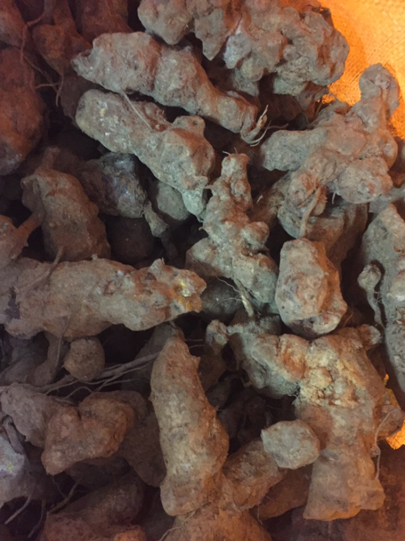 野生灵芝，土茯苓，岩黄莲，金线莲，巴戟