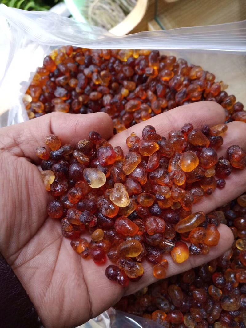 野生灵芝，土茯苓，岩黄莲，金线莲，巴戟