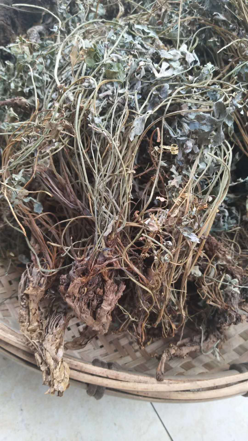 野生灵芝，土茯苓，岩黄莲，金线莲，巴戟