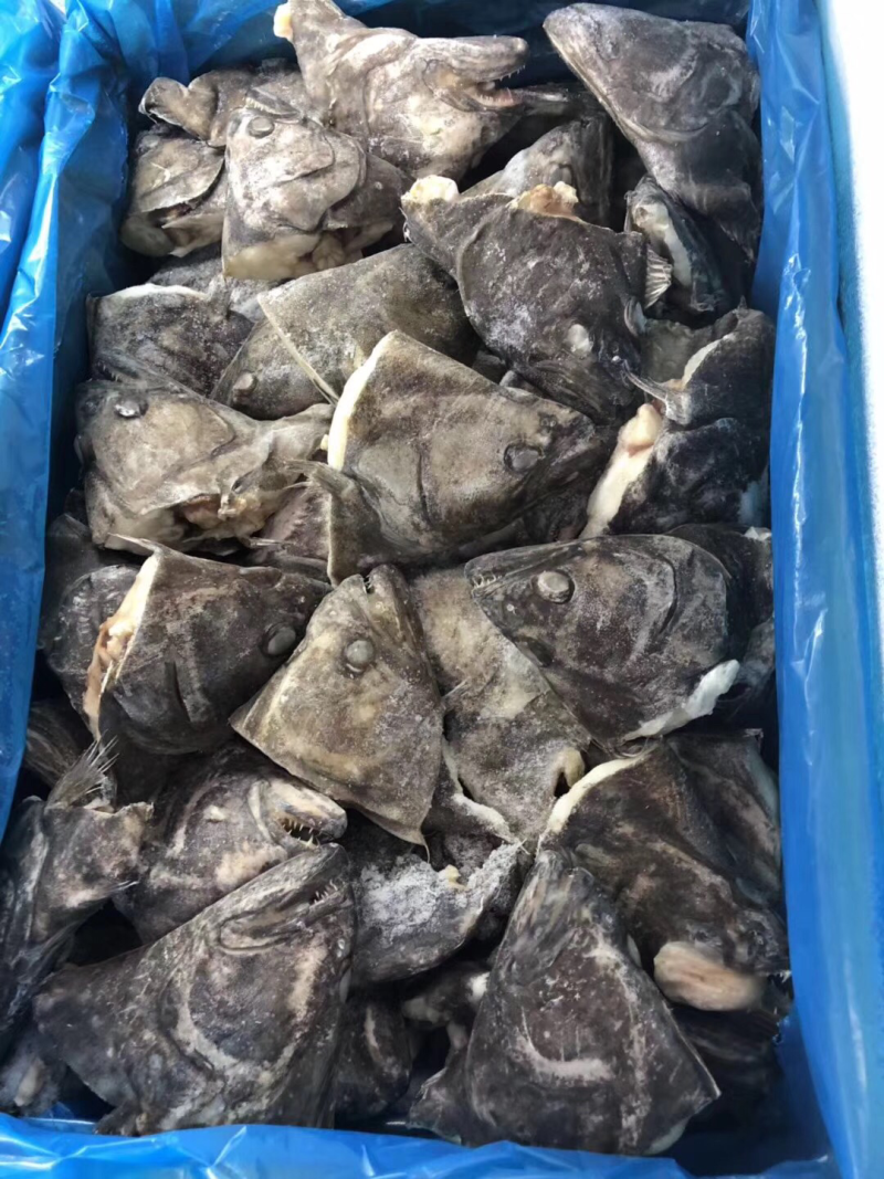 鸦片鱼头鲽鱼头全规格