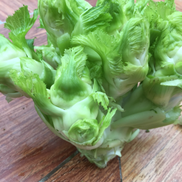 儿菜
