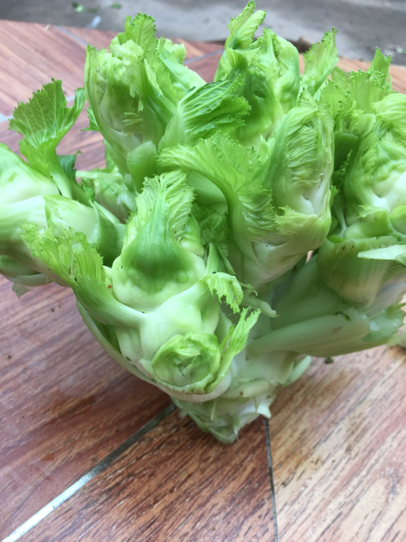 儿菜