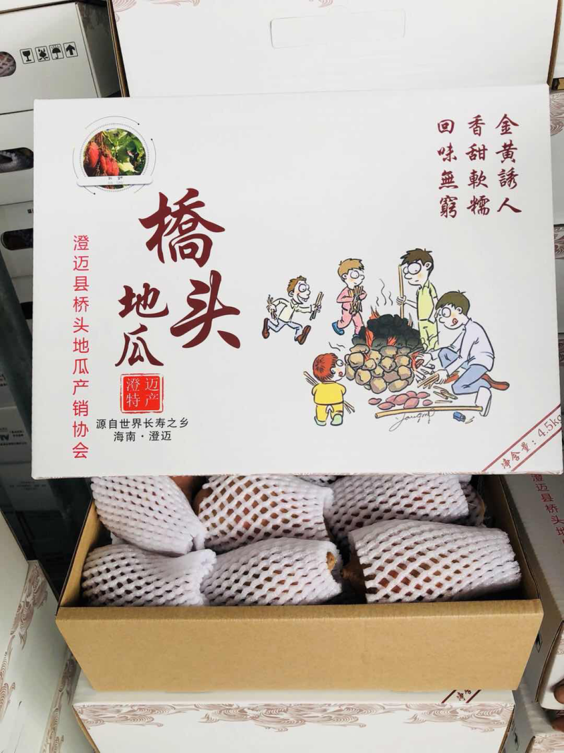 海南澄迈桥头地瓜新鲜现挖现卖板栗薯番薯香薯