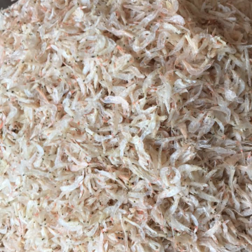 生虾皮