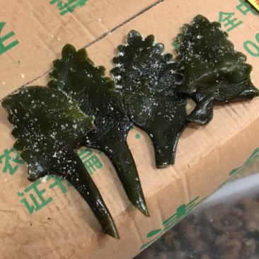 盐渍海带
