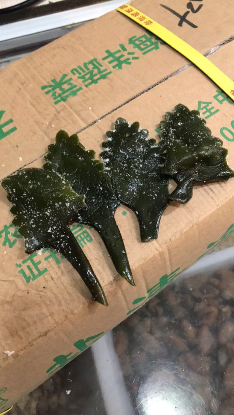 盐渍海带
