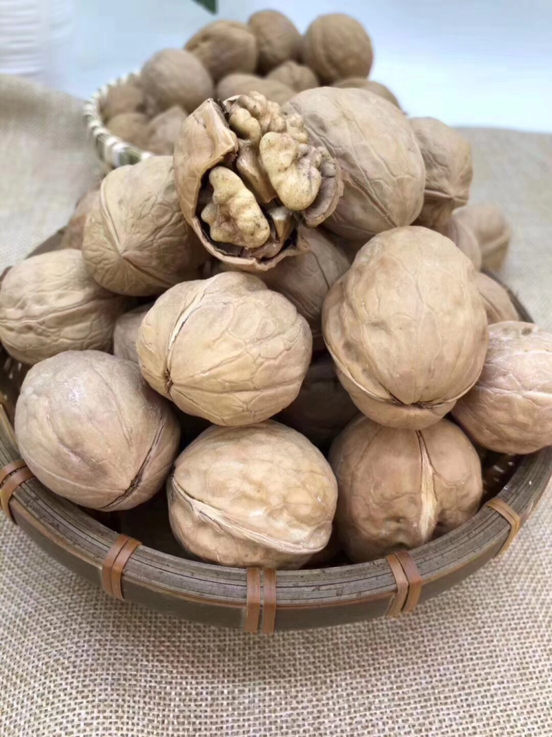 薄皮核桃