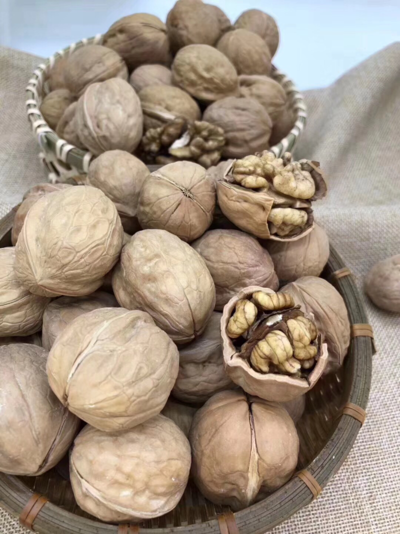 薄皮核桃