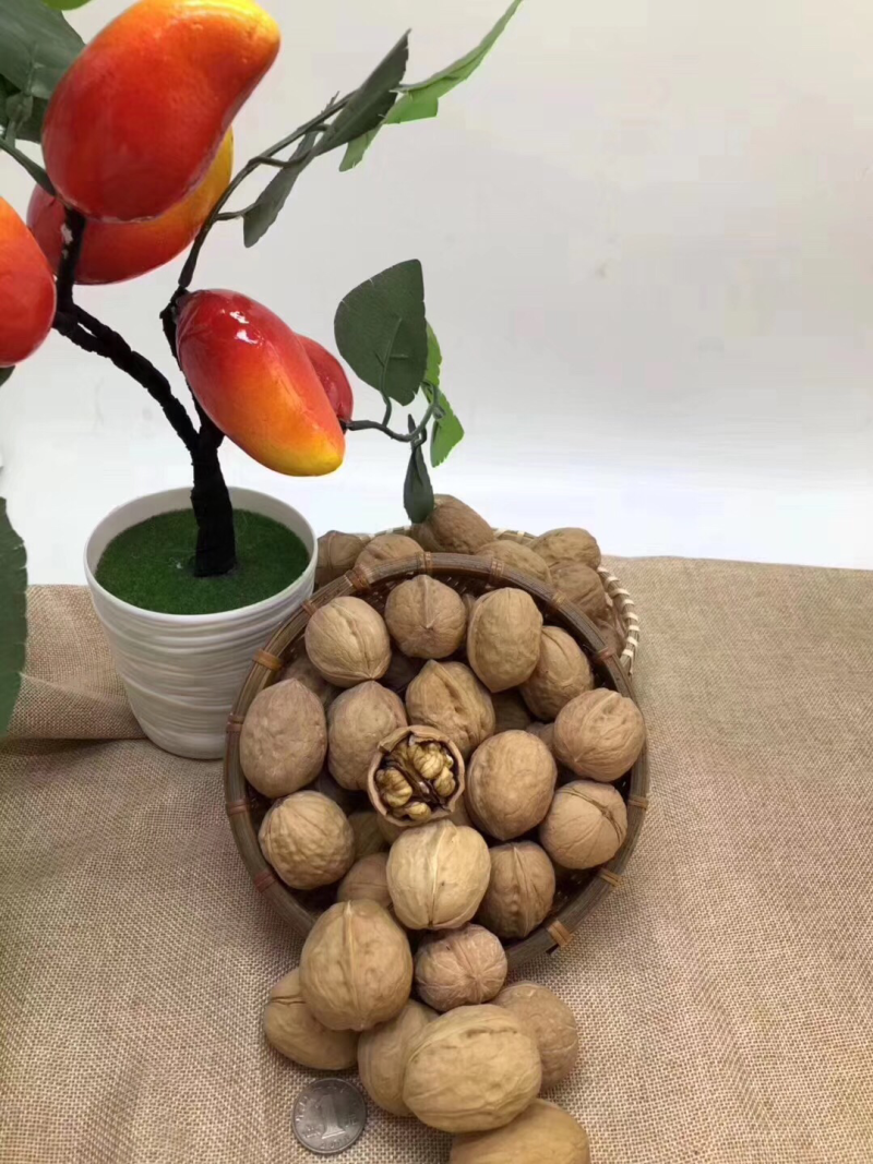 薄皮核桃