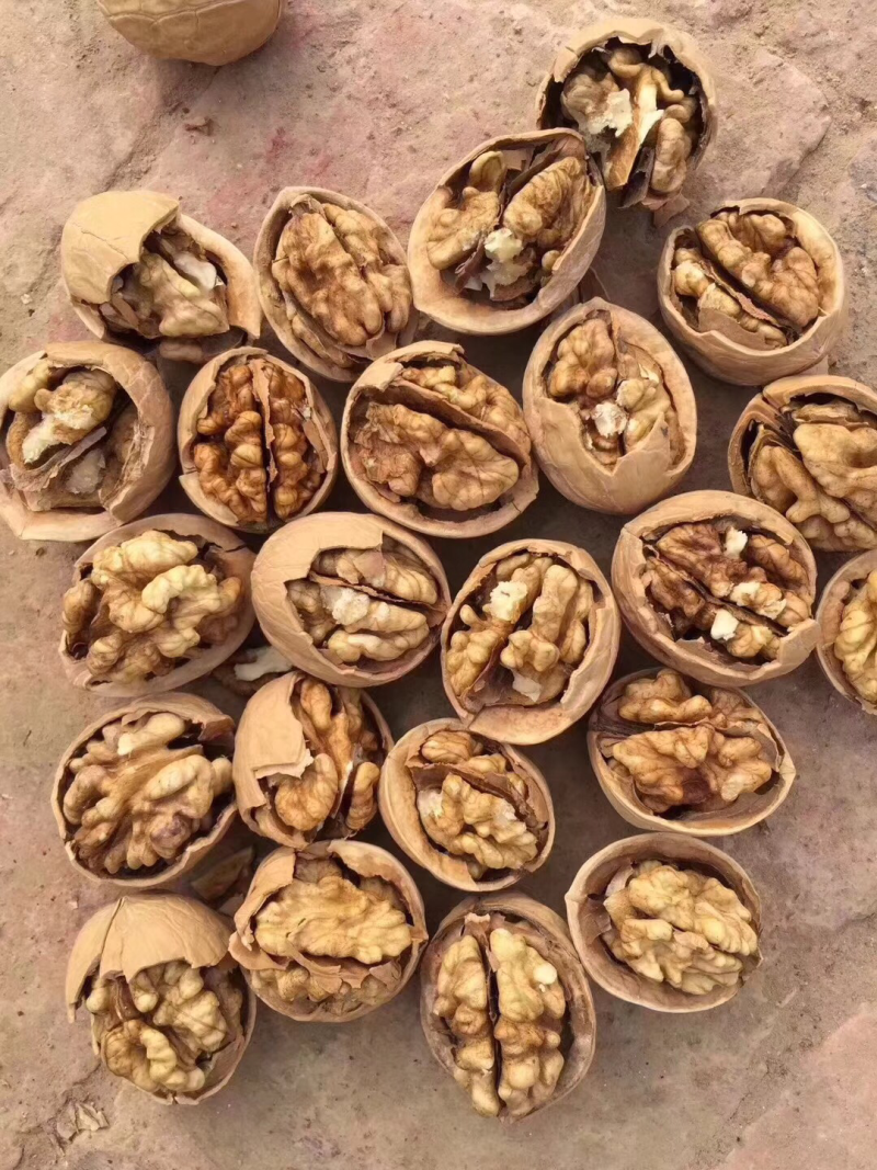 薄皮核桃