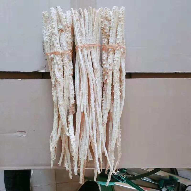 沙参