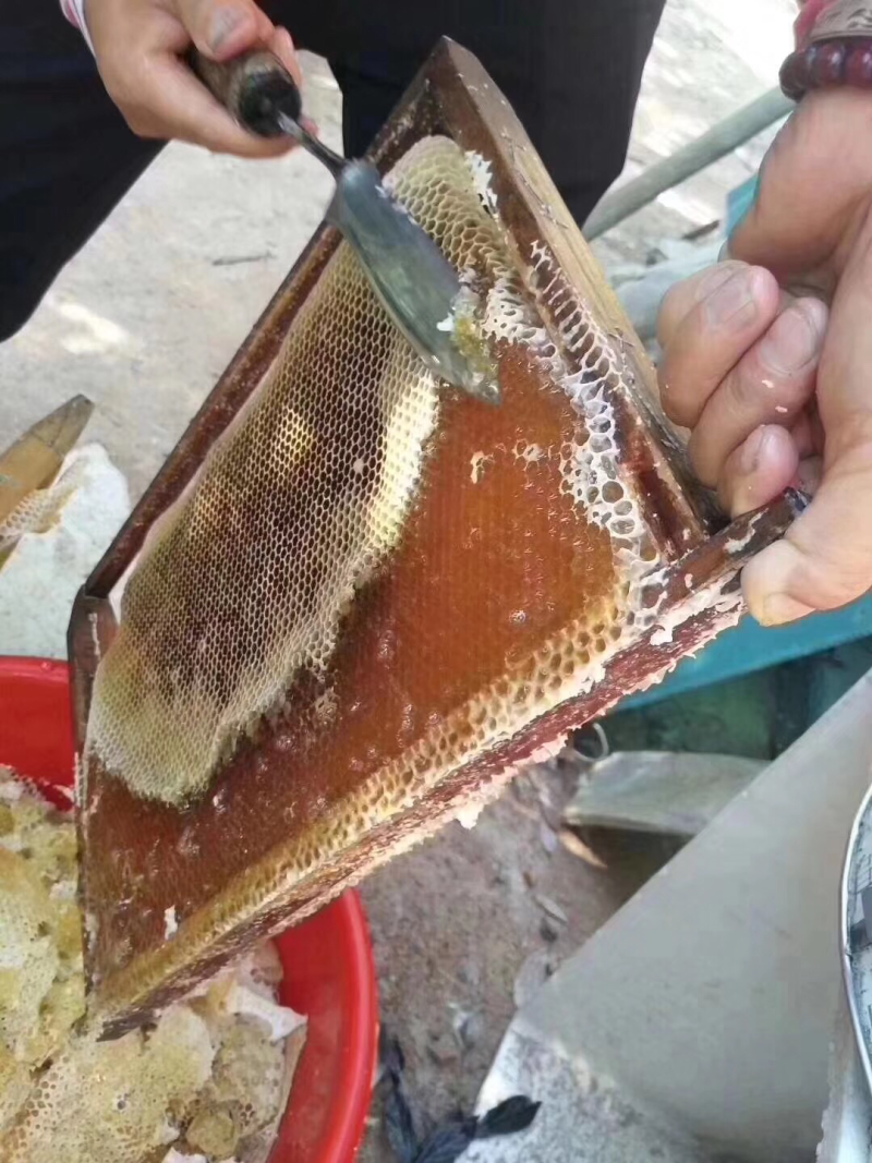 纯正天然蜂蜜