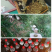 纯正天然蜂蜜
