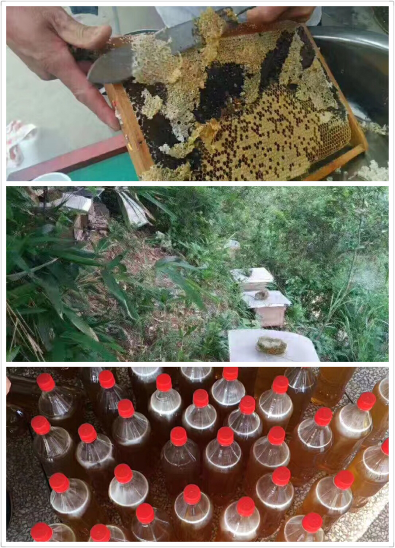 纯正天然蜂蜜
