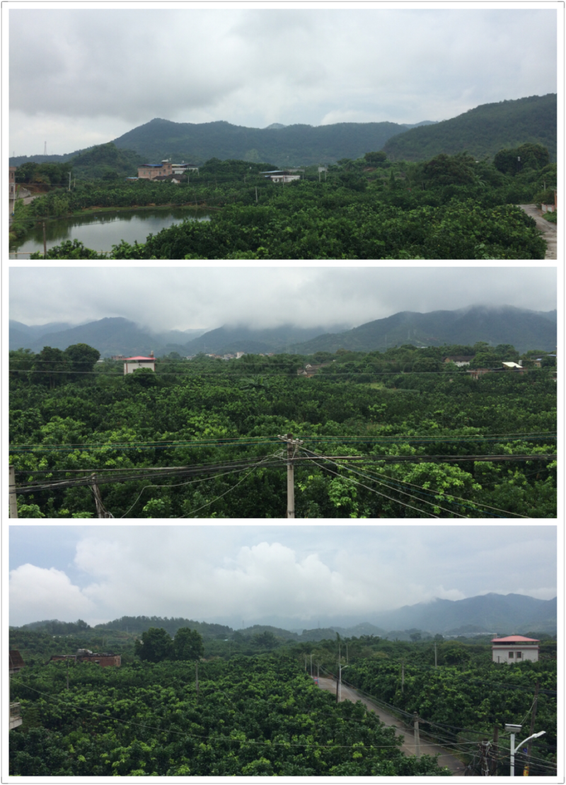 纯正天然蜂蜜