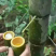 竹筒酒