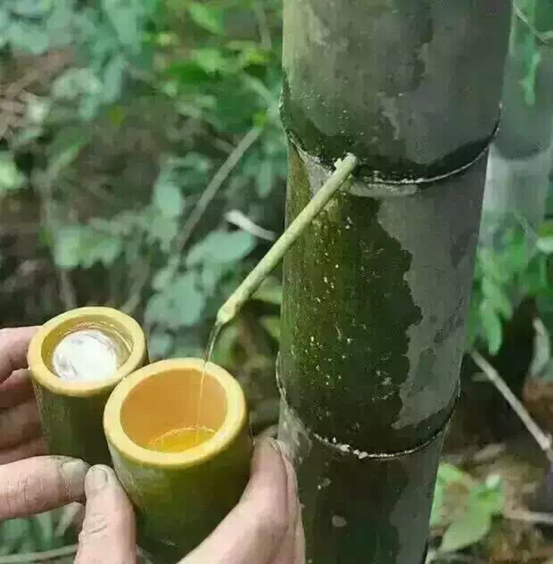 竹筒酒