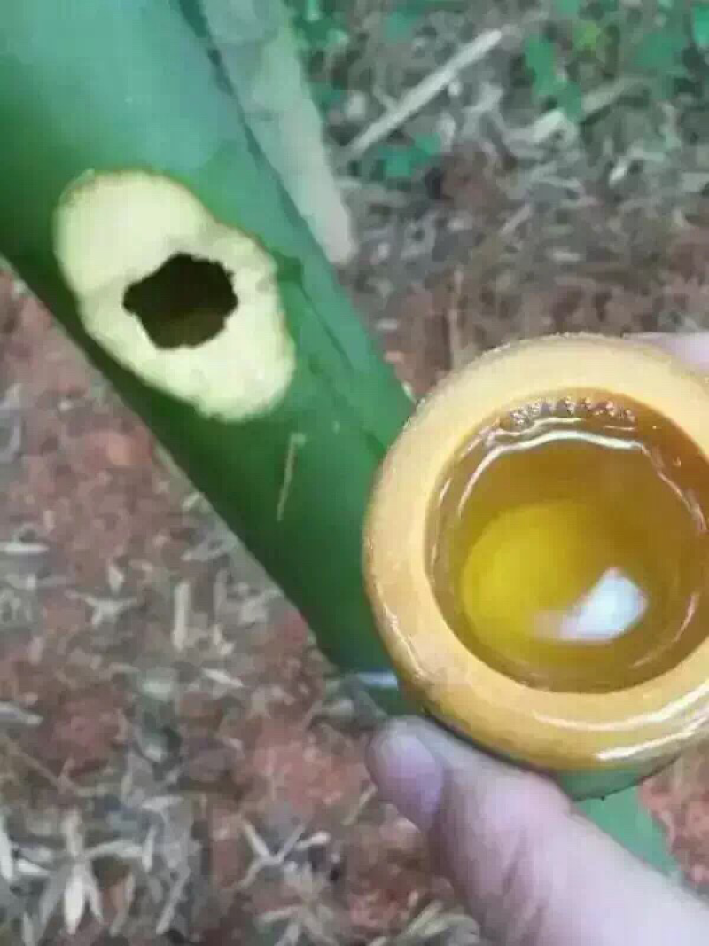竹筒酒