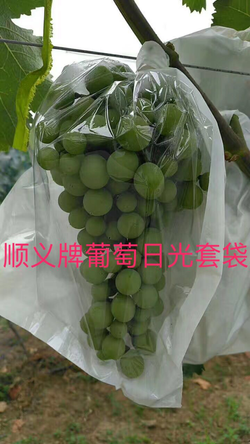 果袋水果套袋苹果袋梨袋桃袋葡萄套袋