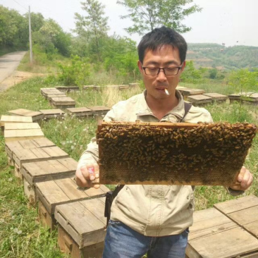 百花蜜土蜂蜜
