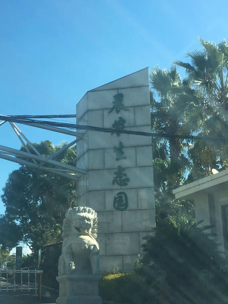 山药