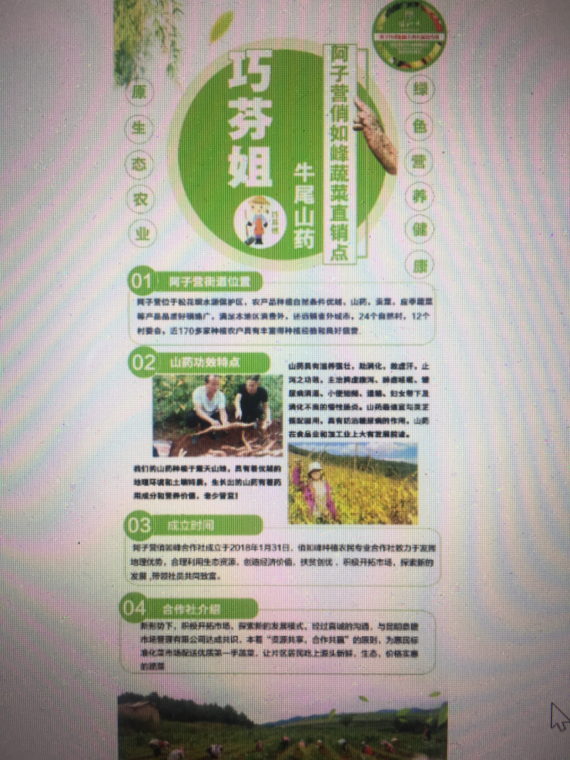 山药