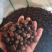 宁化茶油