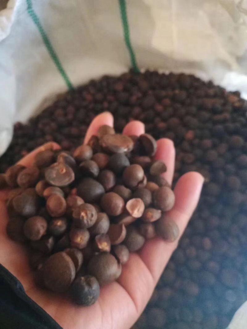 宁化茶油