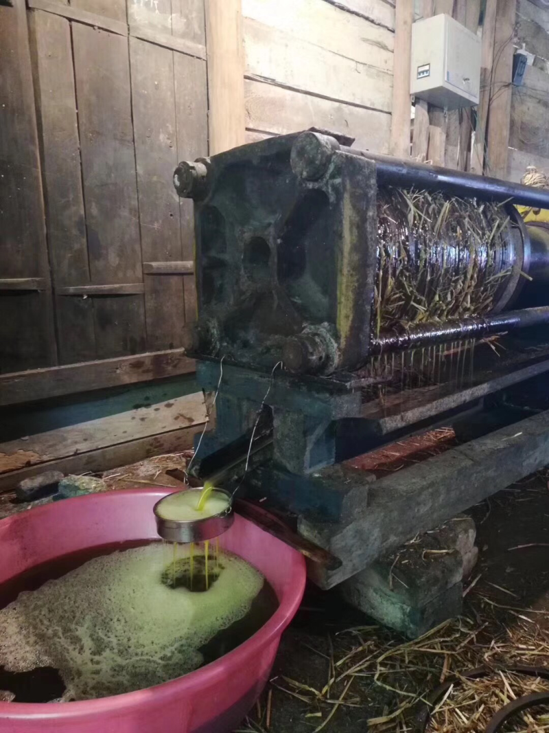 宁化茶油